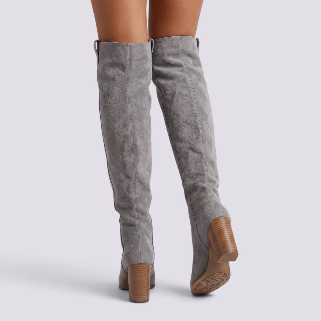 Botas Altas Mujer Punta Fina Ante