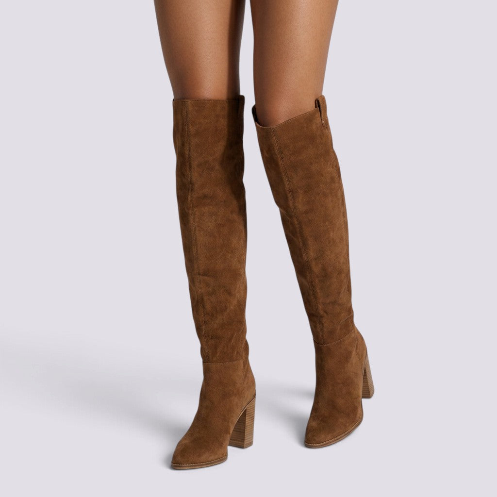 Botas Altas Mujer Punta Fina Ante